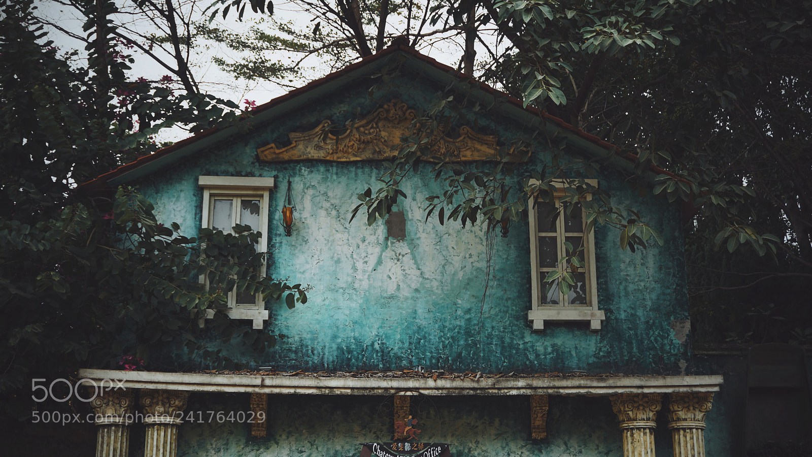 Sony a6000 + Sony E 18-50mm F4-5.6 sample photo. Untitled photography