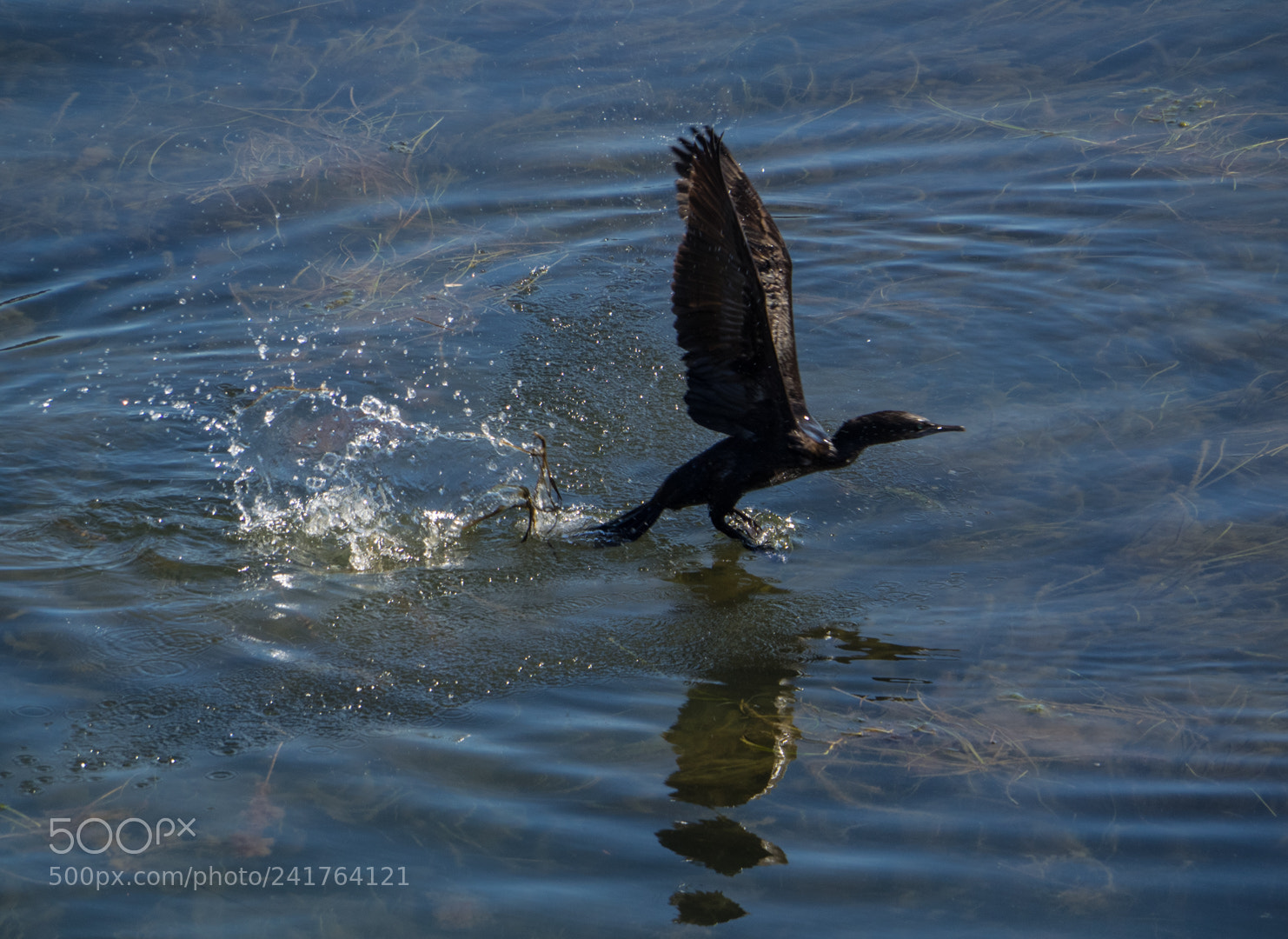 Olympus OM-D E-M1 sample photo. Taking off photography