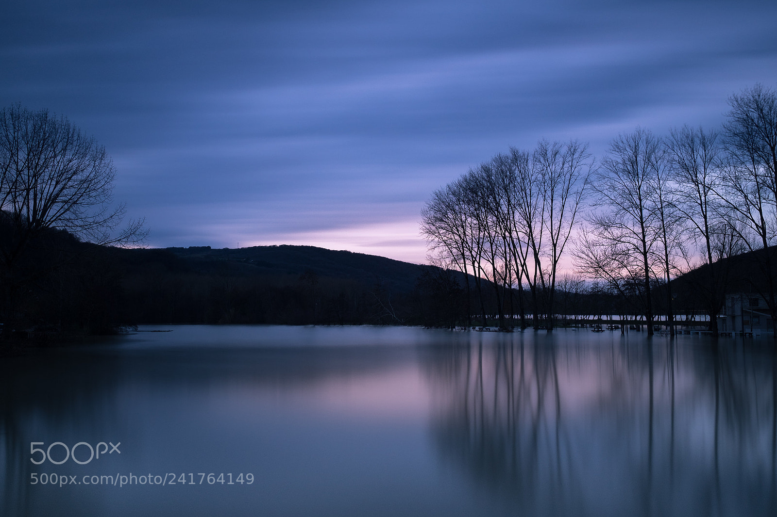 Fujifilm X-T1 sample photo. The flooded woods photography