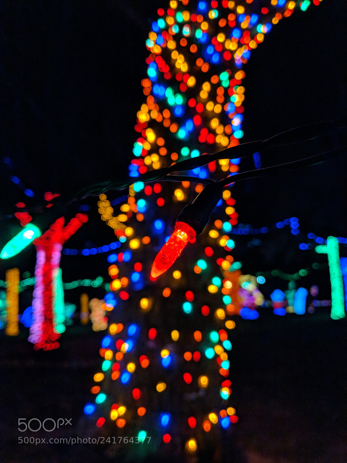 Google Pixel 2 sample photo. Bokeh photography