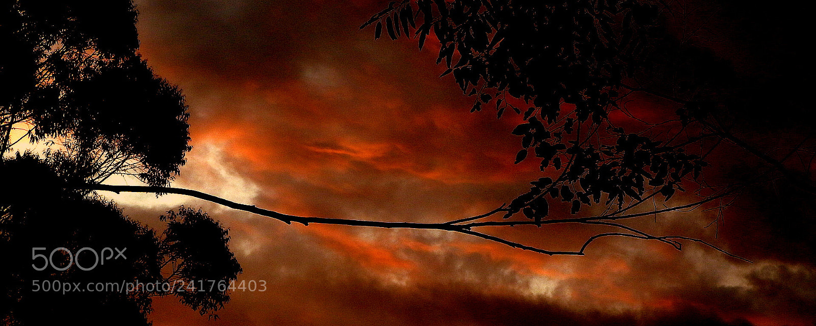 Fujifilm FinePix SL1000 sample photo. Beauty in the sunset ... photography