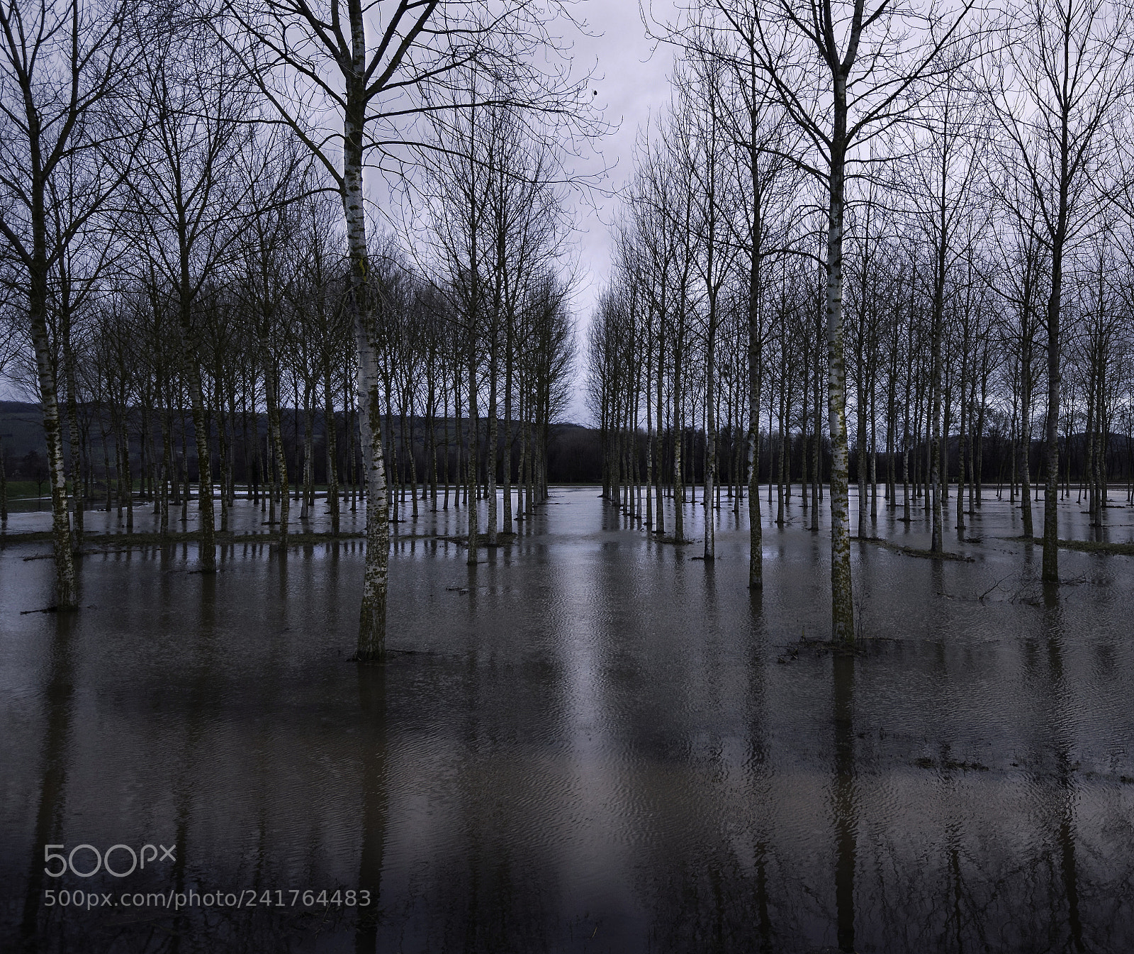 Nikon D5 sample photo. Floods after a storm photography
