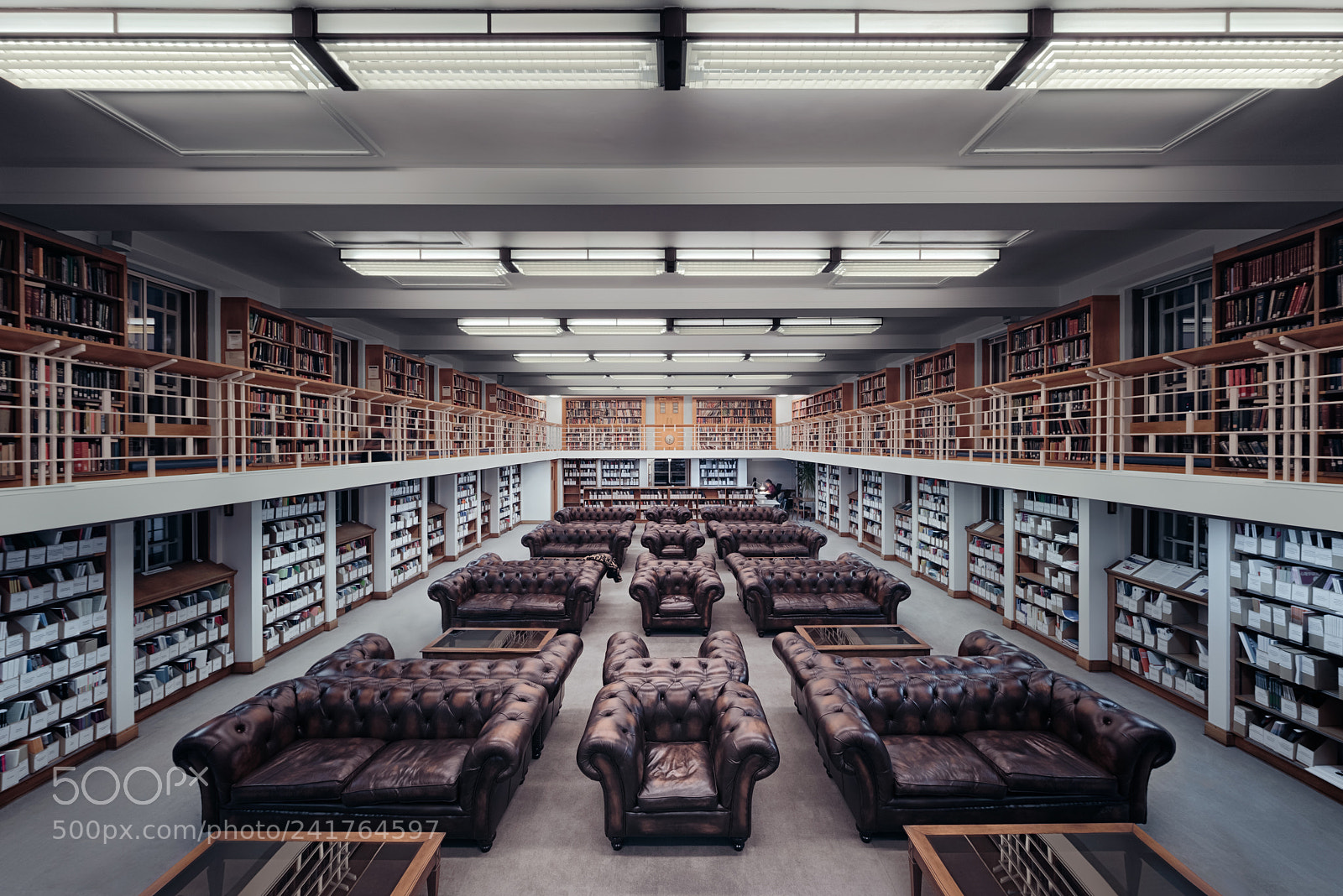 Nikon D810 sample photo. The periodicals reading room photography