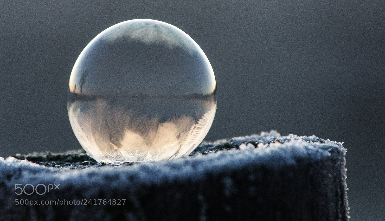 Nikon D7200 sample photo. Frozen soap bubble photography