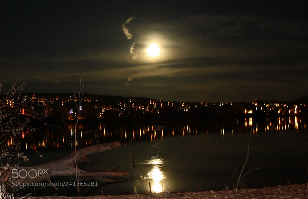 Canon EOS 1000D (EOS Digital Rebel XS / EOS Kiss F) sample photo. Full moons, creepy critters photography