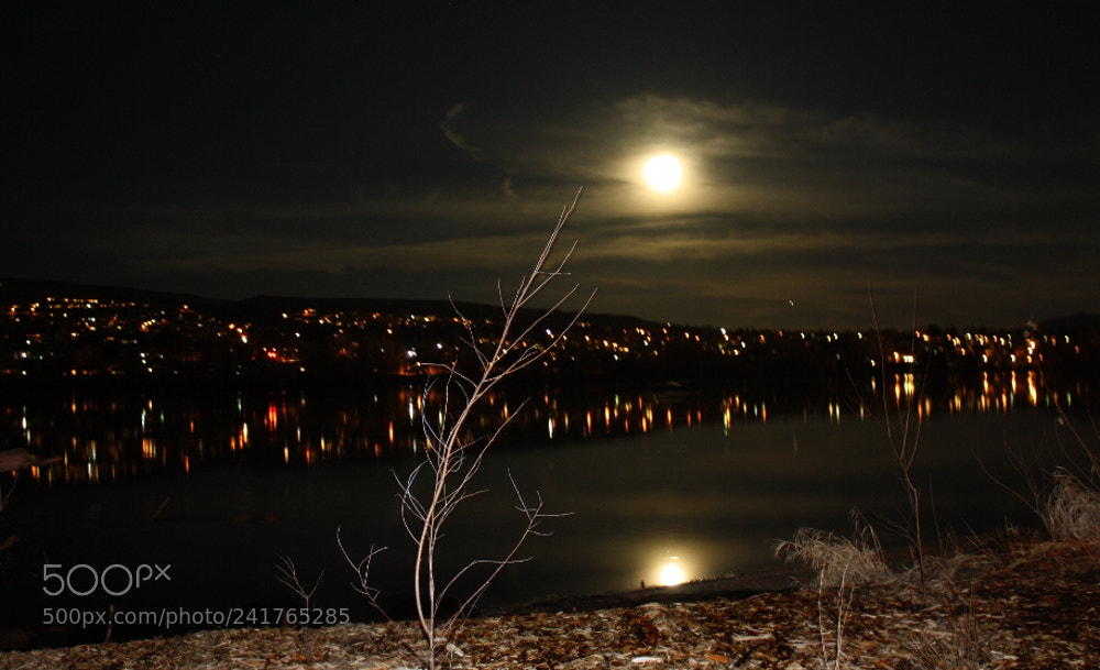 Canon EOS 1000D (EOS Digital Rebel XS / EOS Kiss F) sample photo. Full moons, creepy critters photography