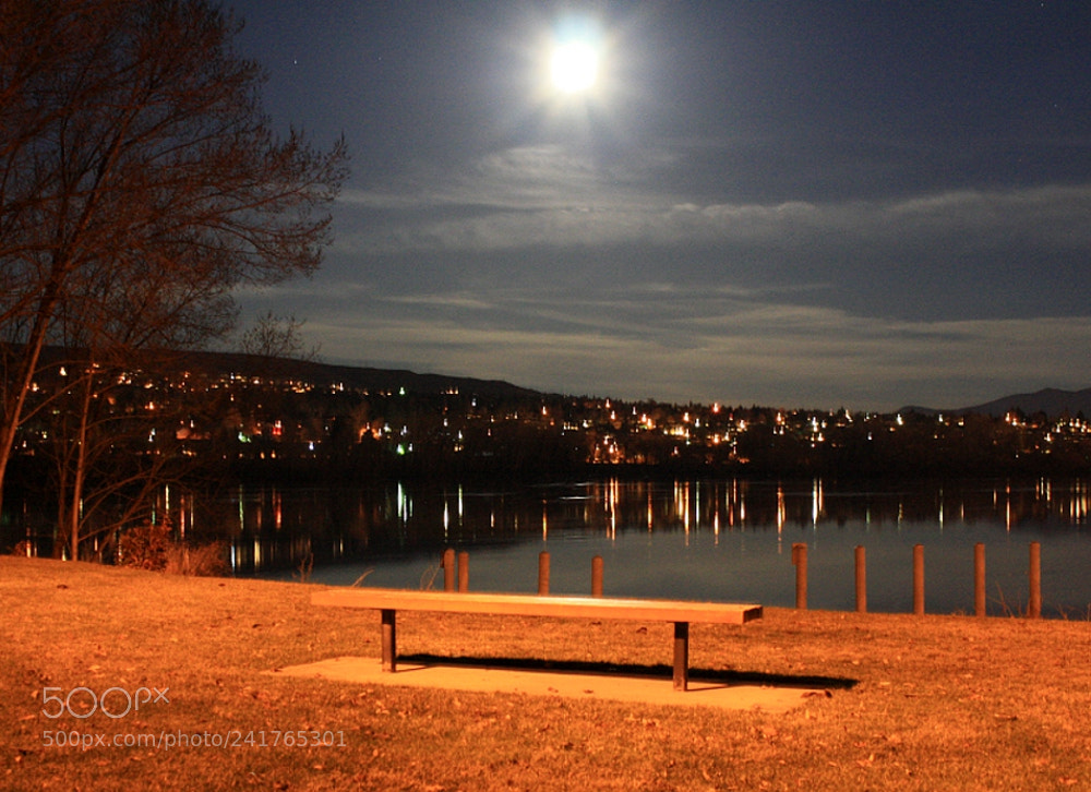 Canon EOS 1000D (EOS Digital Rebel XS / EOS Kiss F) sample photo. Full moons, creepy critters photography