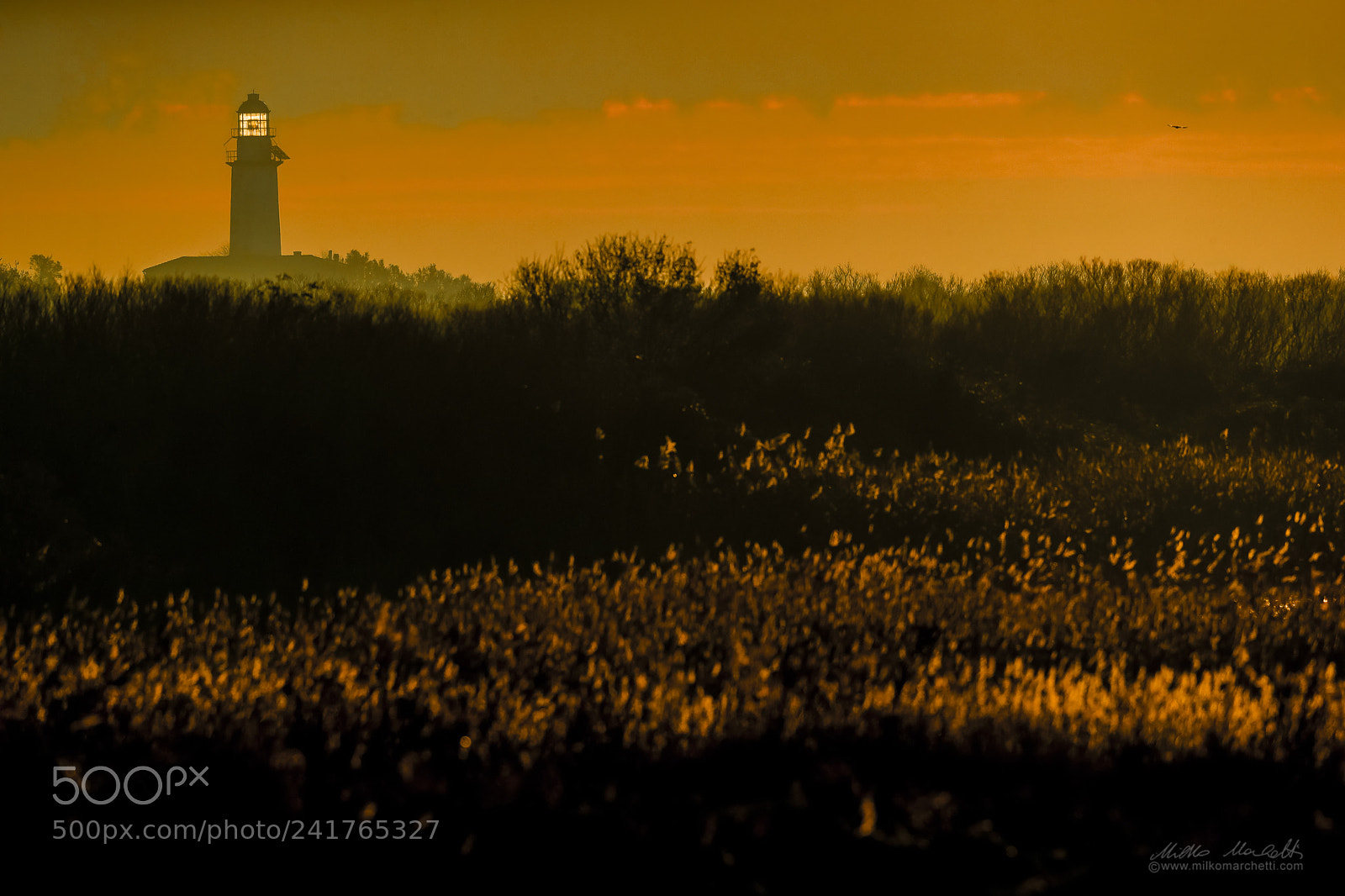 Canon EOS-1D X Mark II sample photo. Gorino lighthouse photography