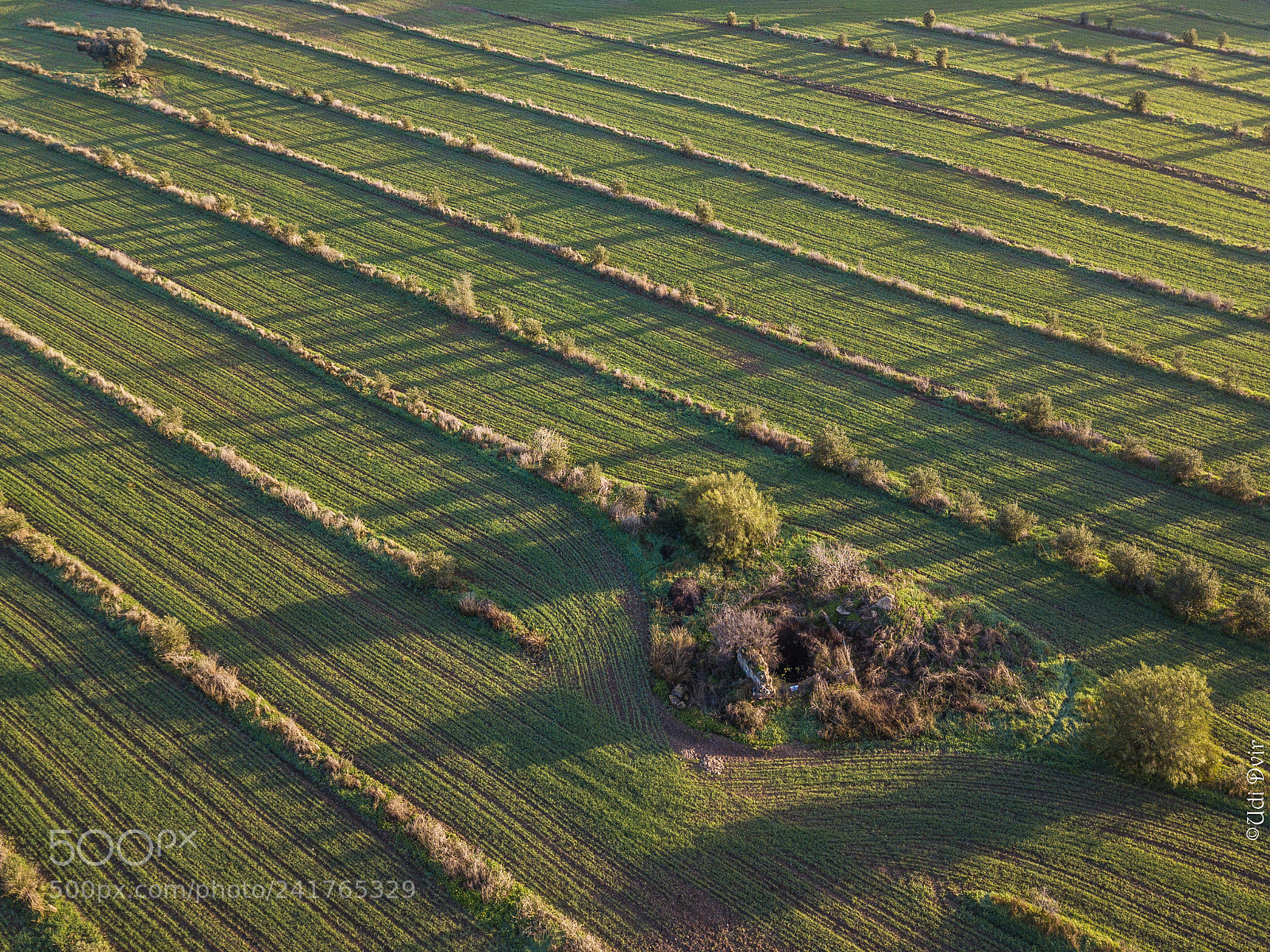 DJI FC220 sample photo. Untitled photography