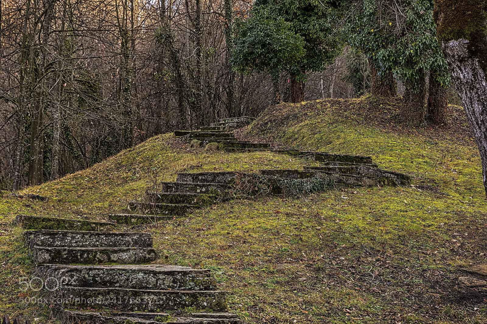 Canon EOS 60D sample photo. Mystery stairs photography