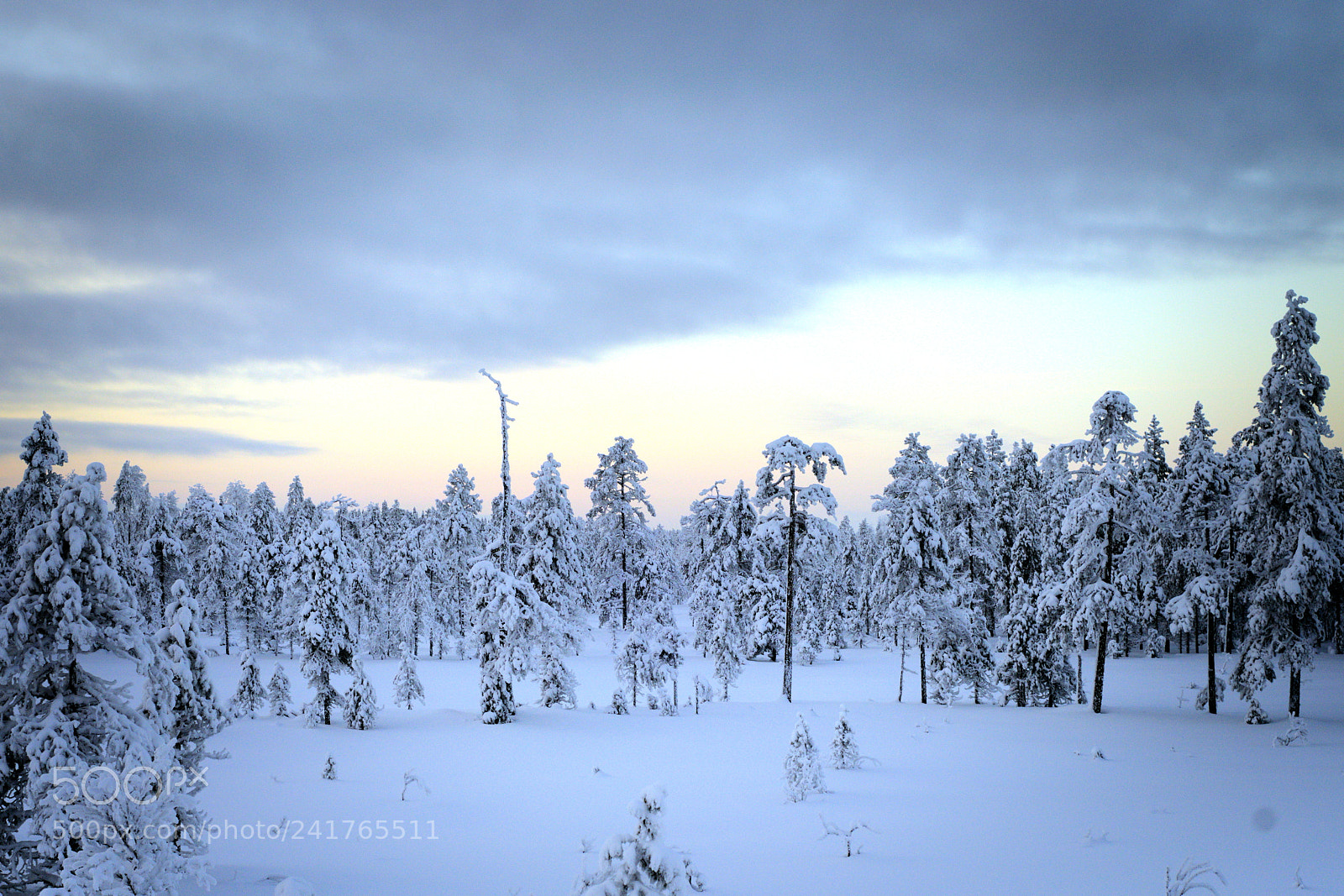 Pentax K-1 sample photo. Winter scene in taivalkoski photography