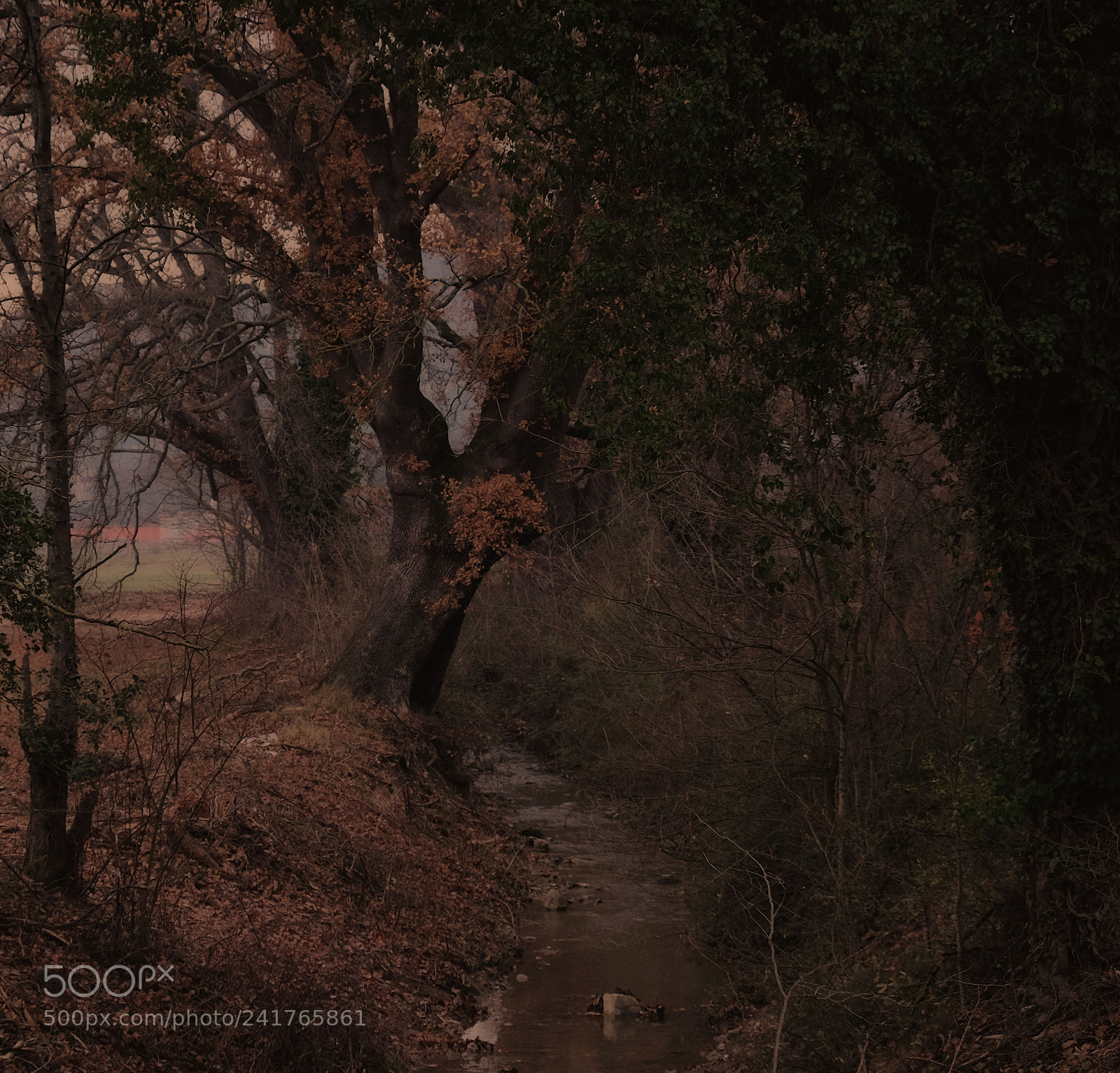 Fujifilm X-T10 sample photo. A bridge with a photography