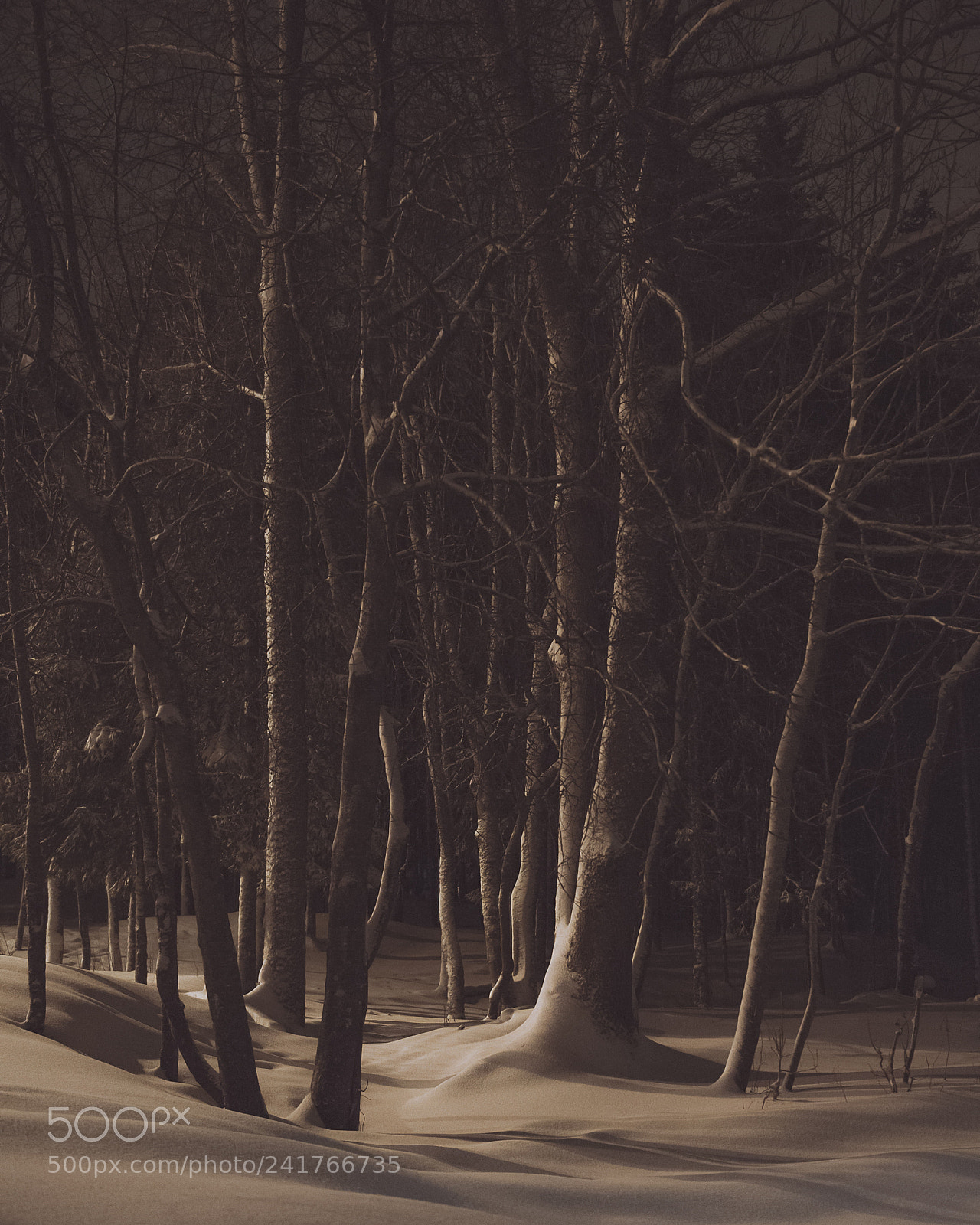 Nikon D600 sample photo. Shadows photography