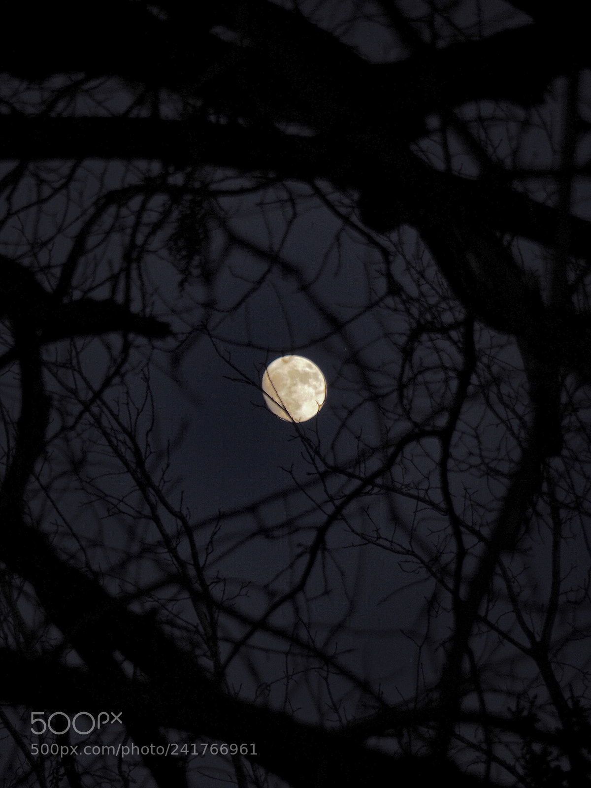Olympus OM-D E-M5 II sample photo. New year’s eve photography