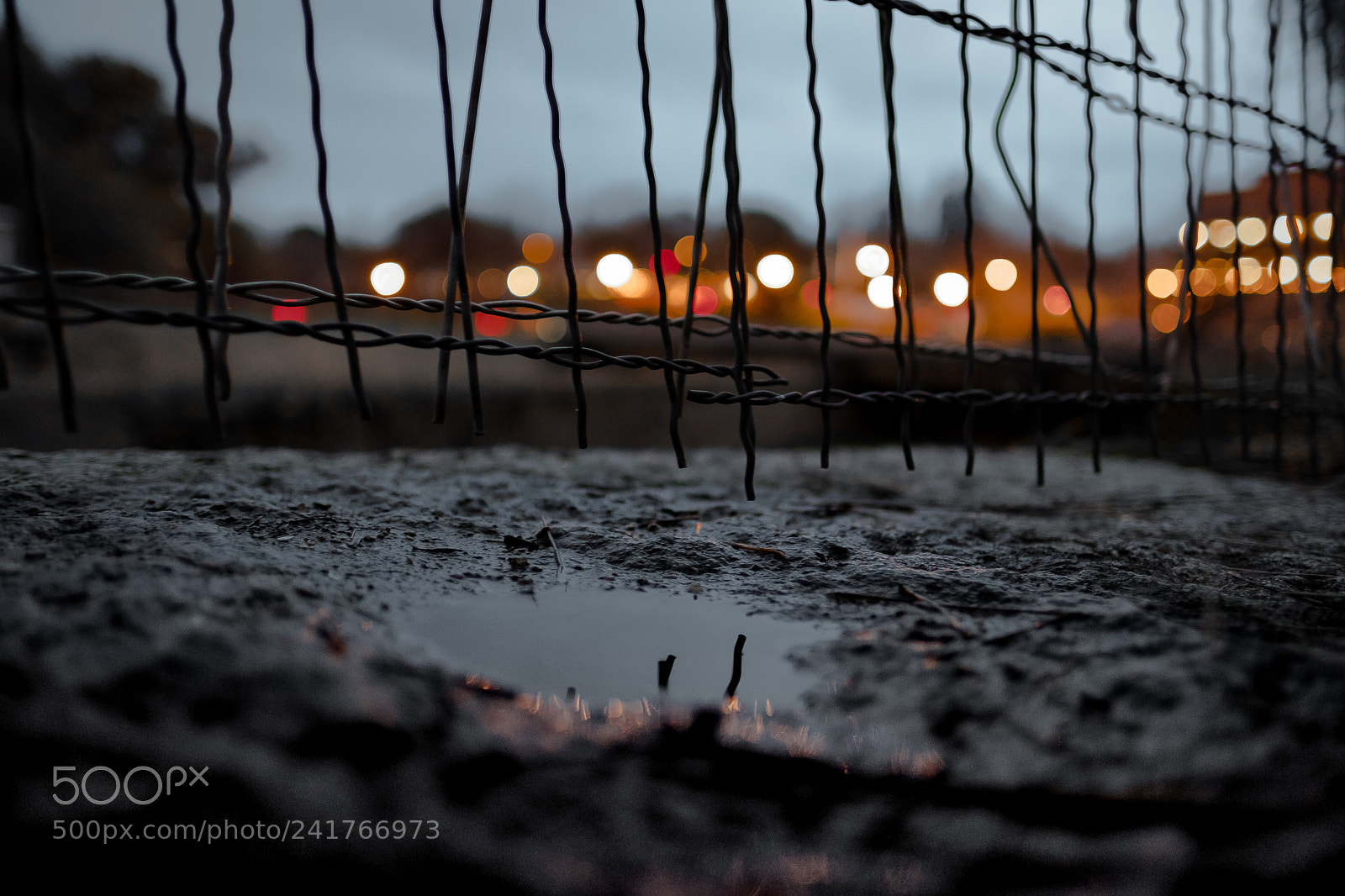 Fujifilm X-T2 sample photo. Muddled photography