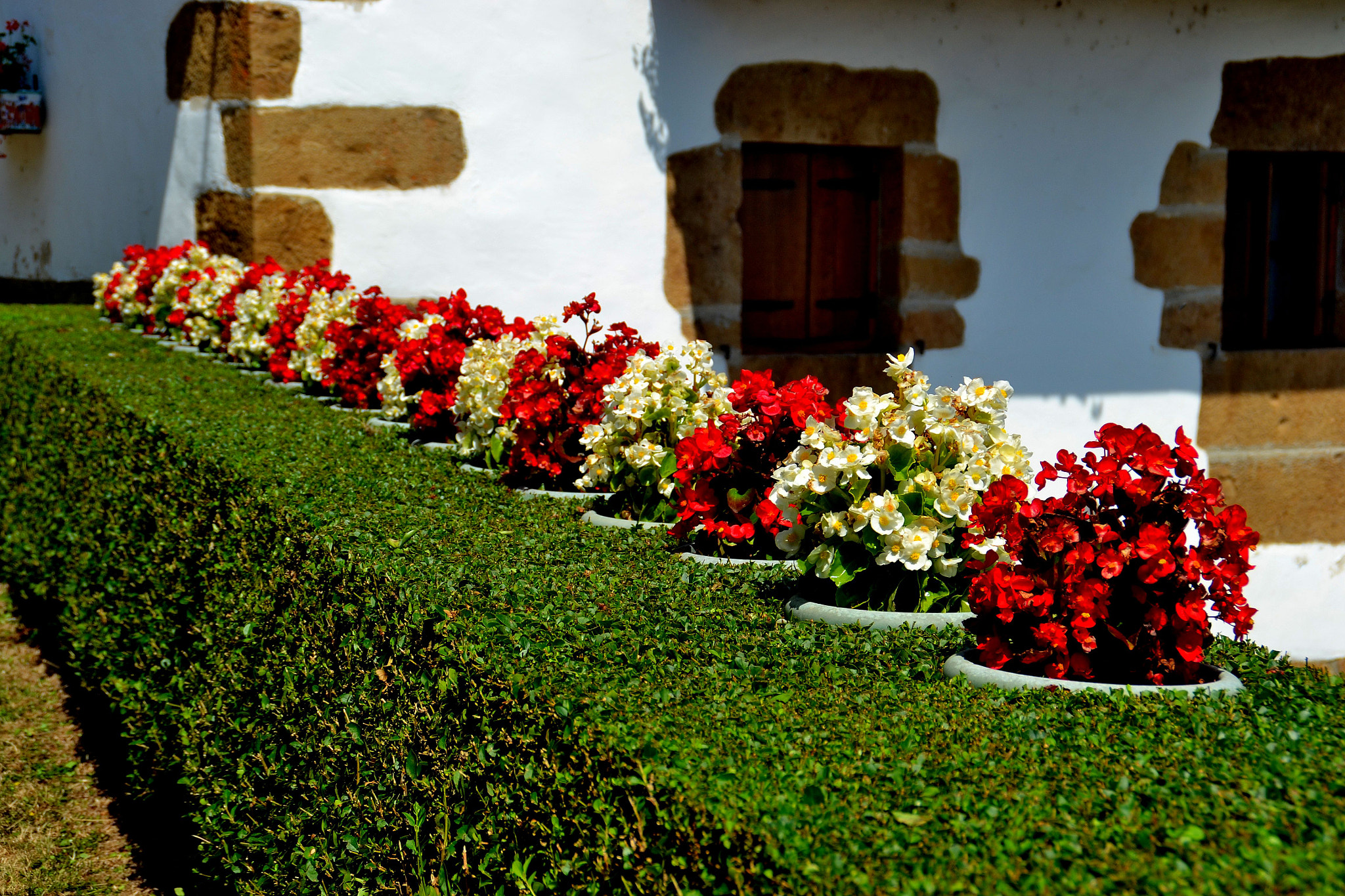 Nikon D3100 sample photo. Ordre. photography