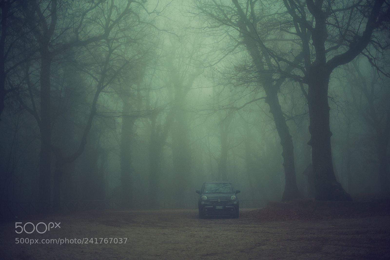 Nikon D3 sample photo. Fiat 500f... fog photography