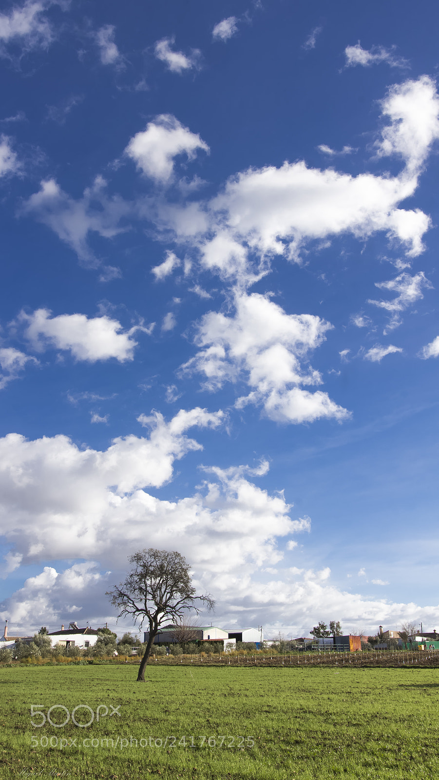 Canon EOS 60D sample photo. Sky photography