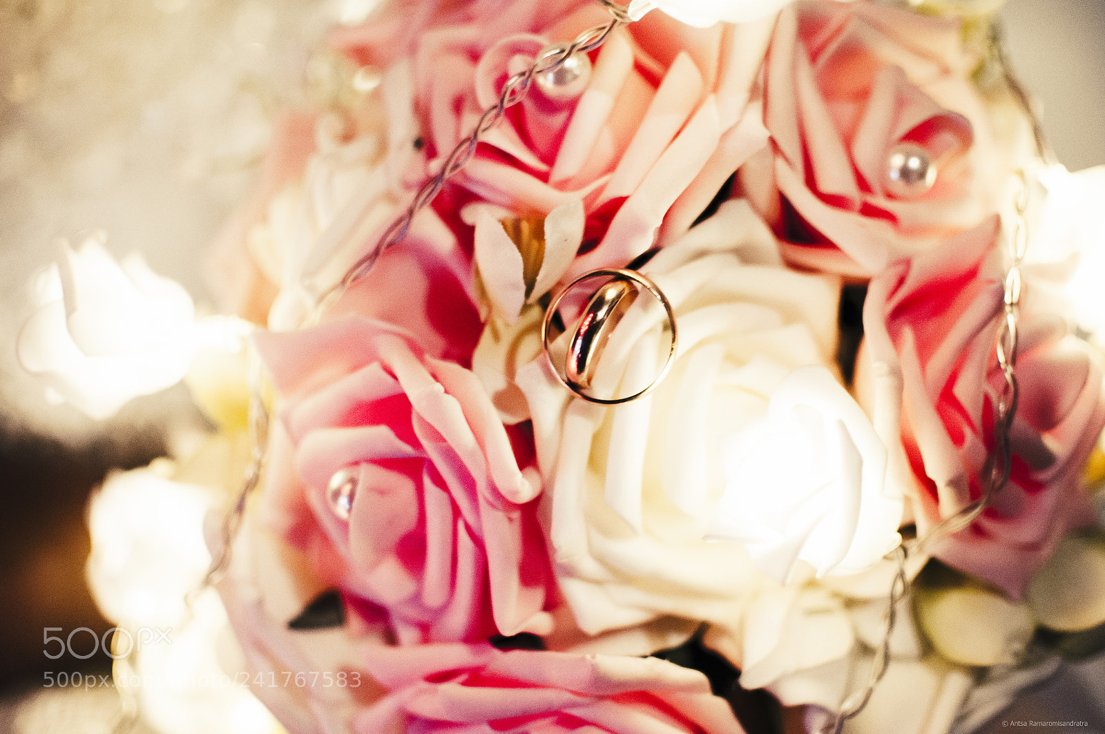 Nikon D300 sample photo. The floral rings photography