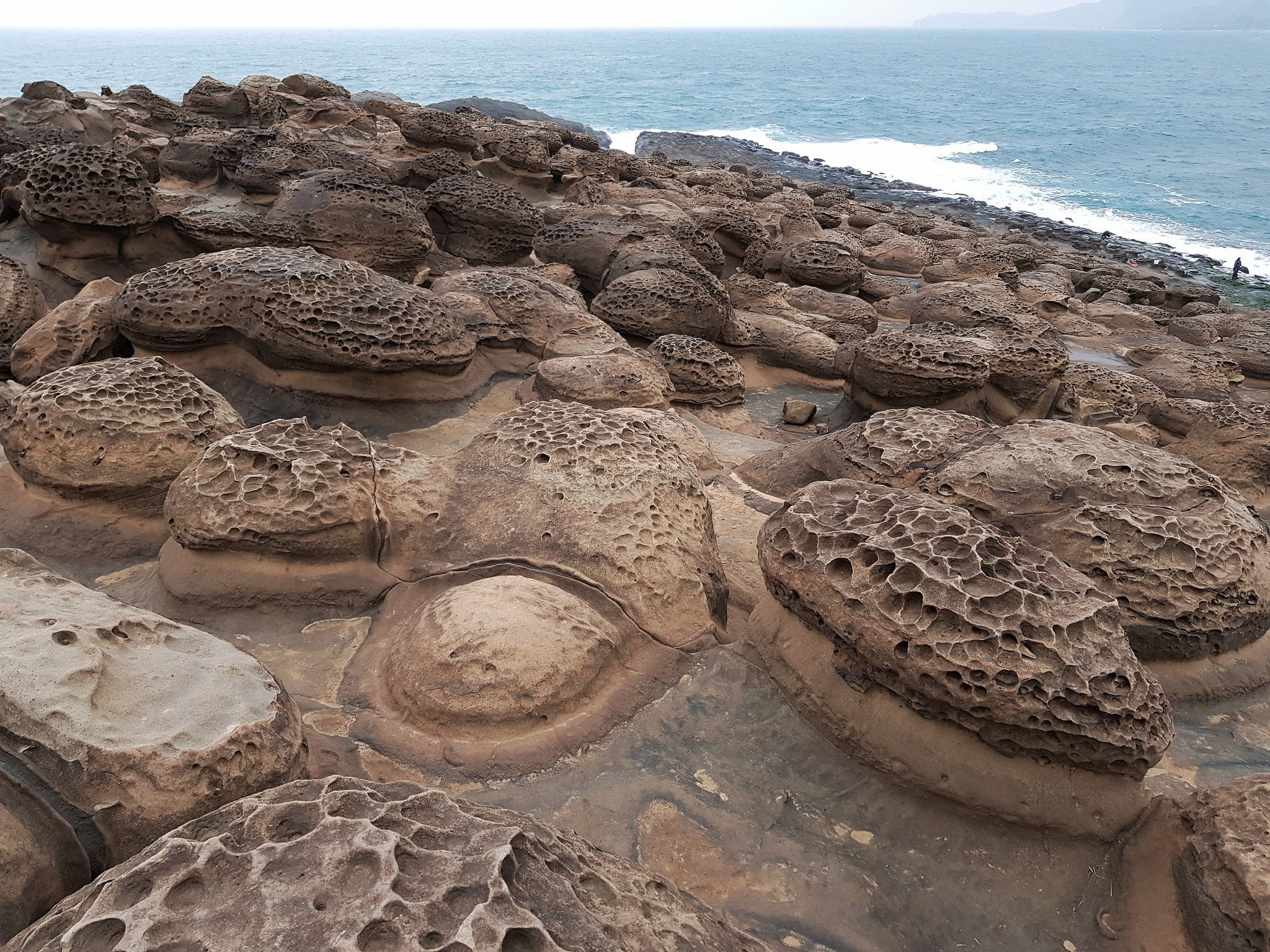 Coastal Benches -Taiwan-