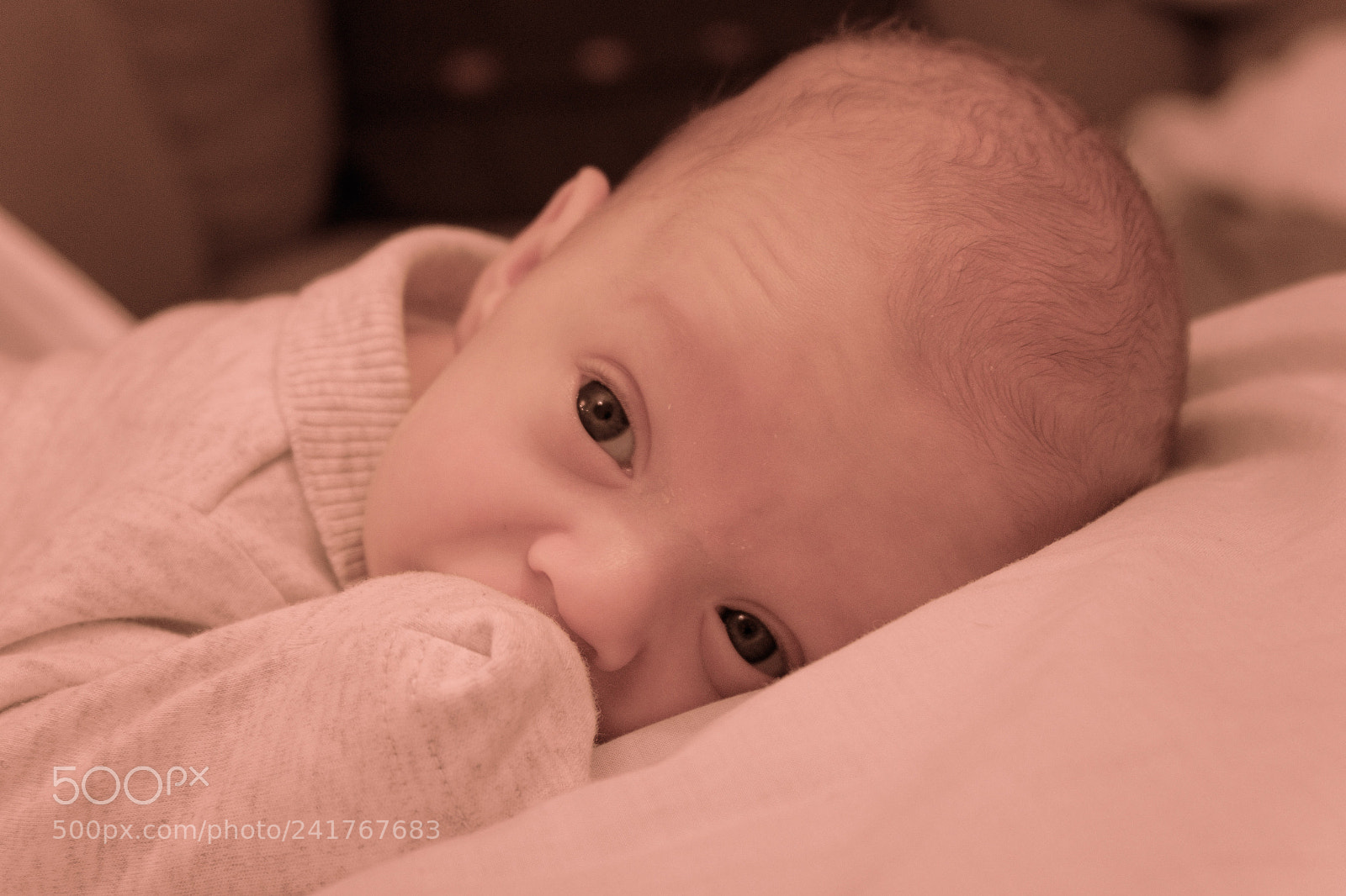 Fujifilm X-T10 sample photo. Newness - week #1 2018 photography