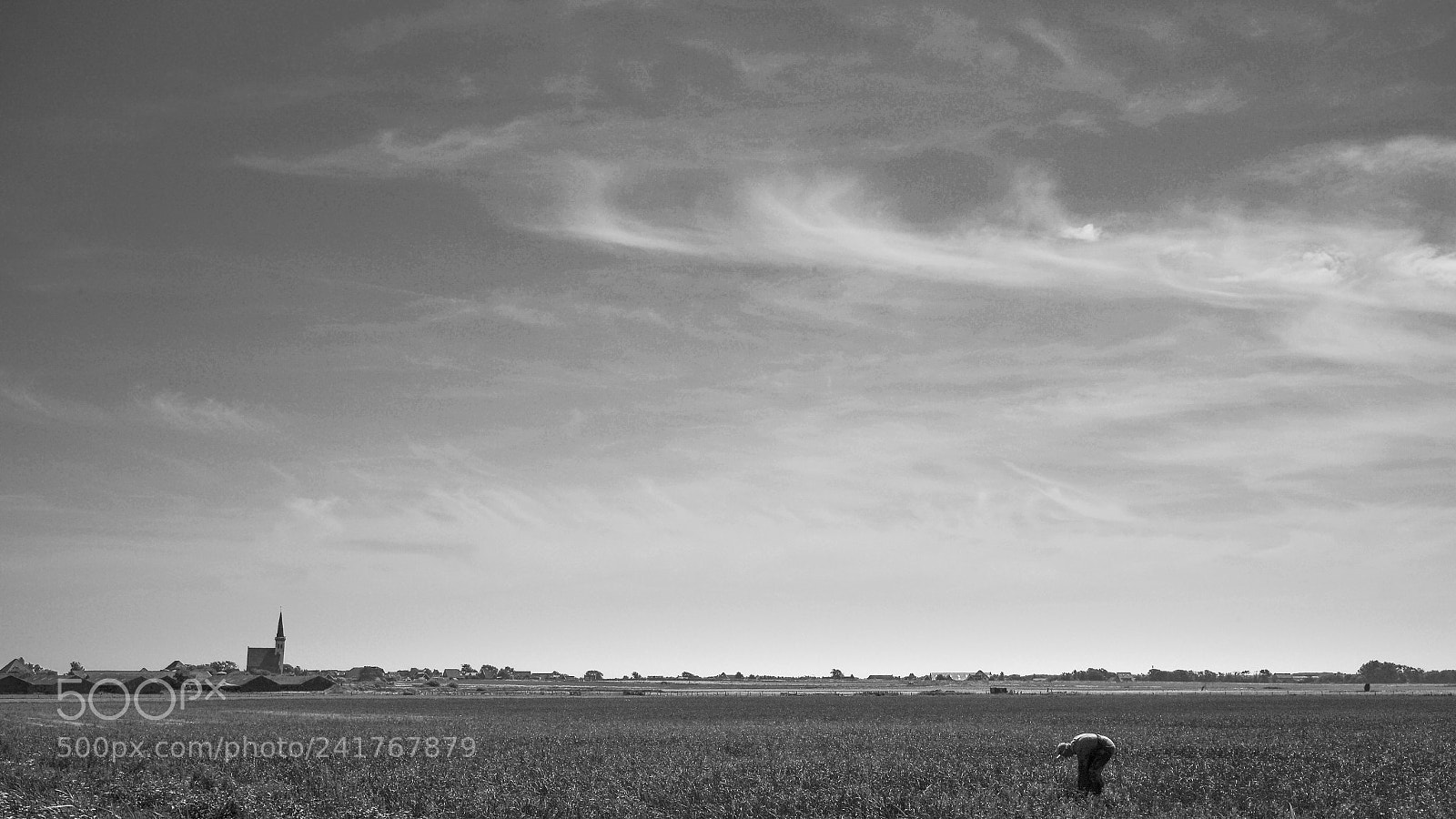 Leica M (Typ 240) sample photo. The farmer and the photography