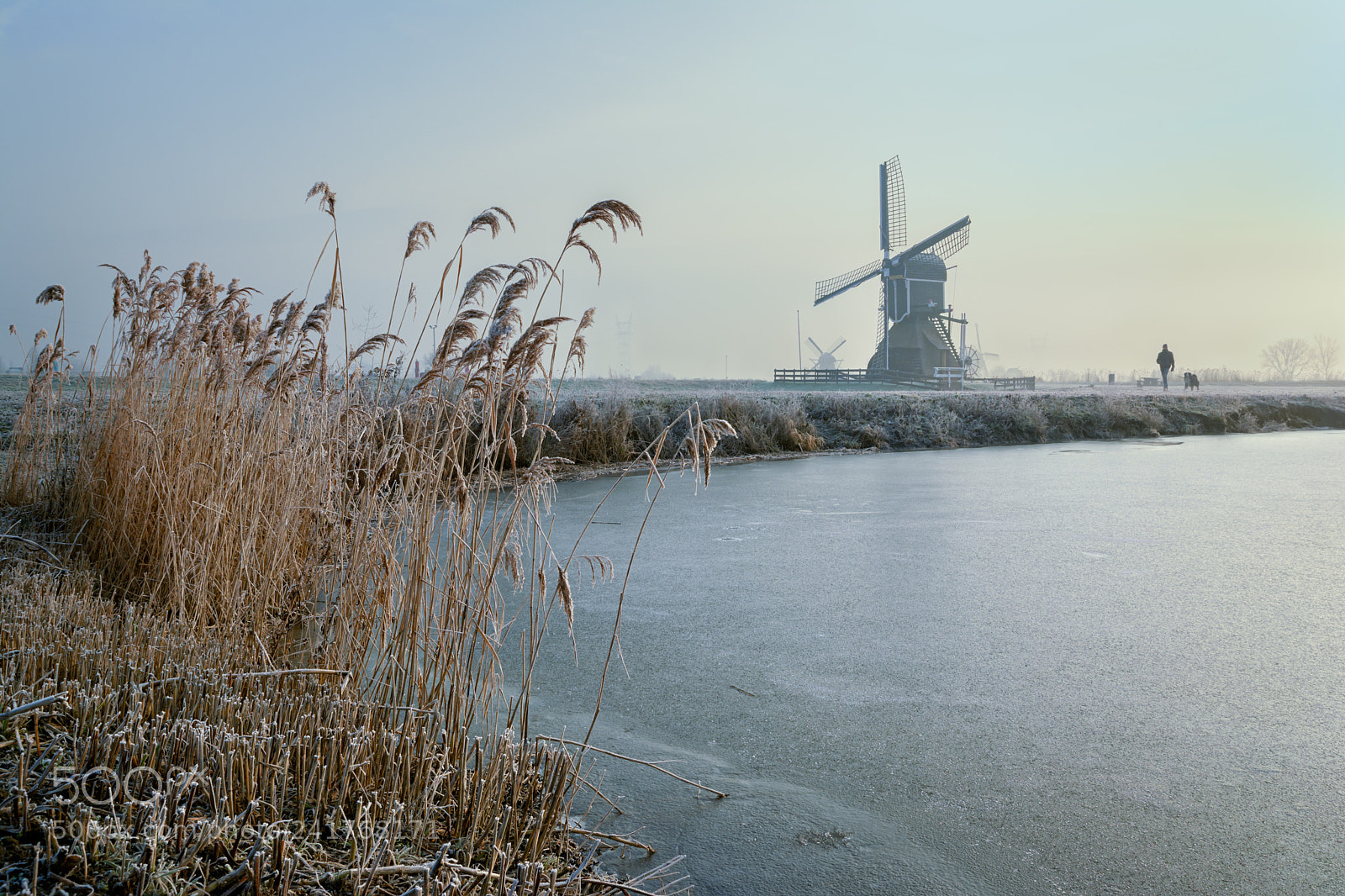 Nikon D7100 sample photo. Munnikenmolen photography