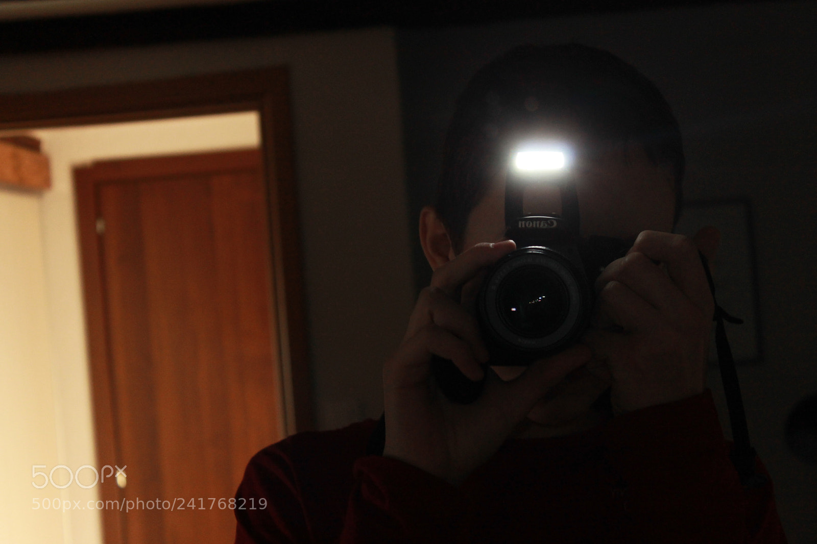 Canon EF-S 18-55mm F3.5-5.6 III sample photo. Img photography