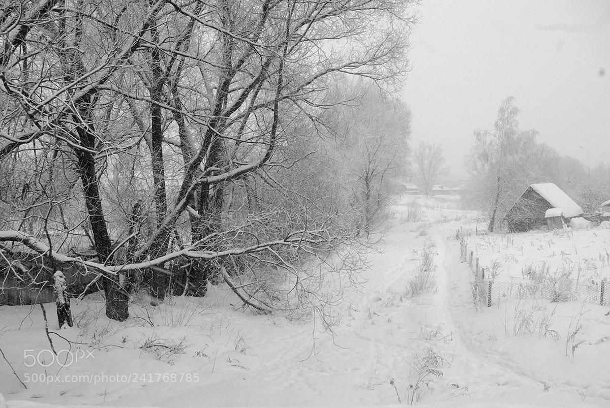Pentax K10D sample photo. When it was winter. photography