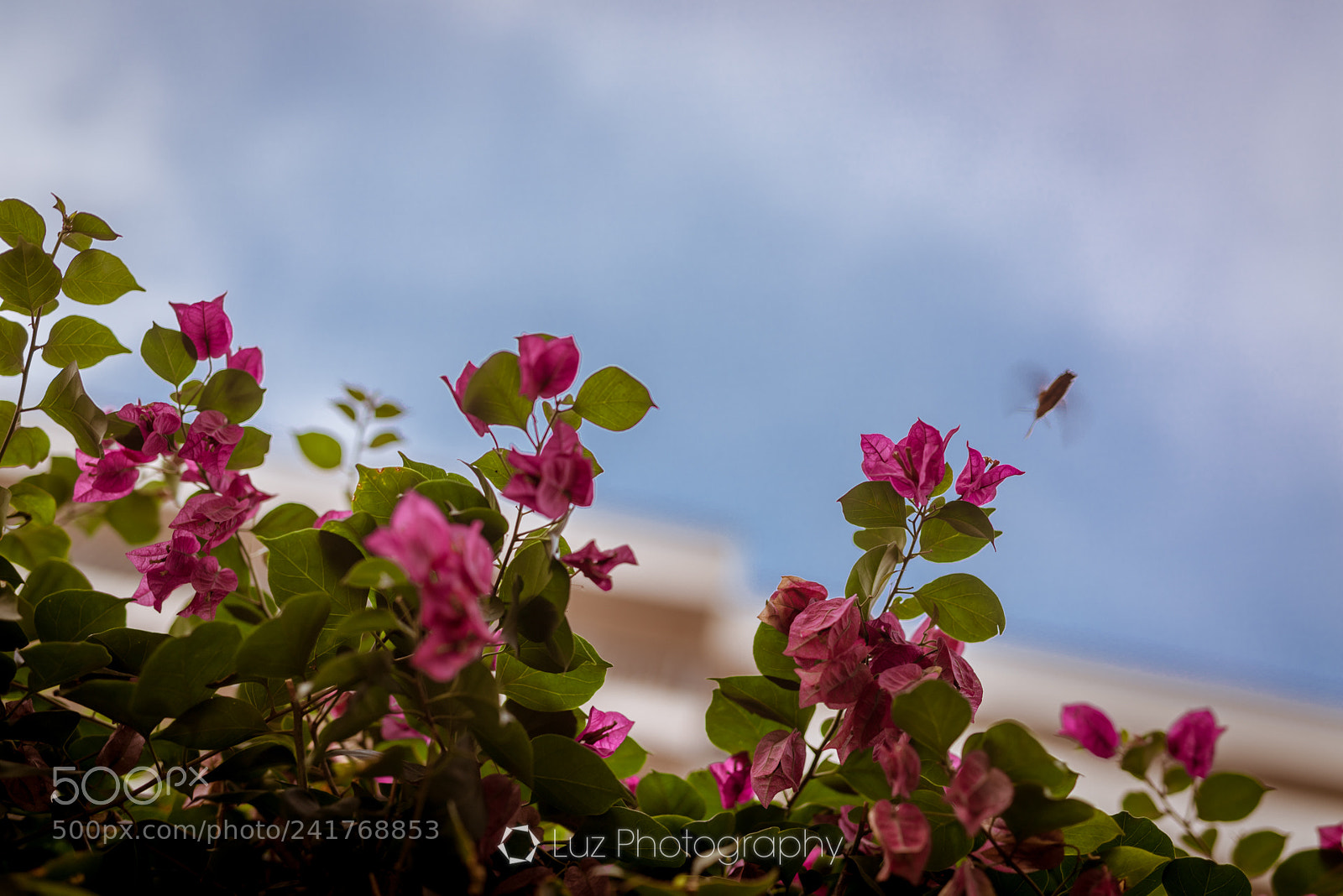 Nikon D810 sample photo. Before winter photography