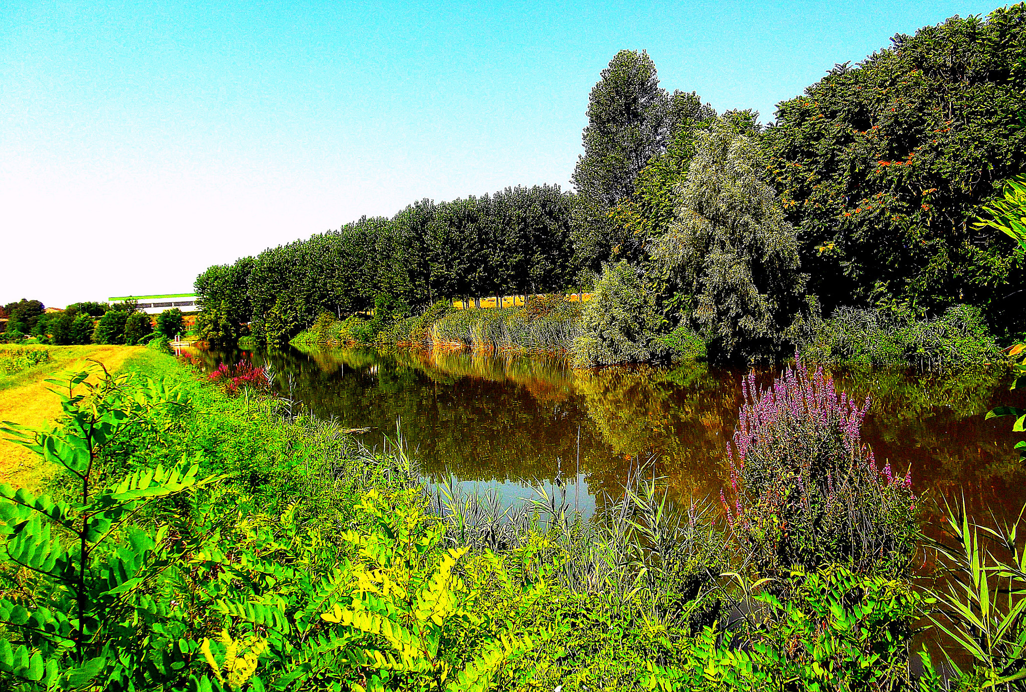 Fujifilm FinePix JX250 sample photo. Paesaggio stupendo lungo le rive del fiume. photography