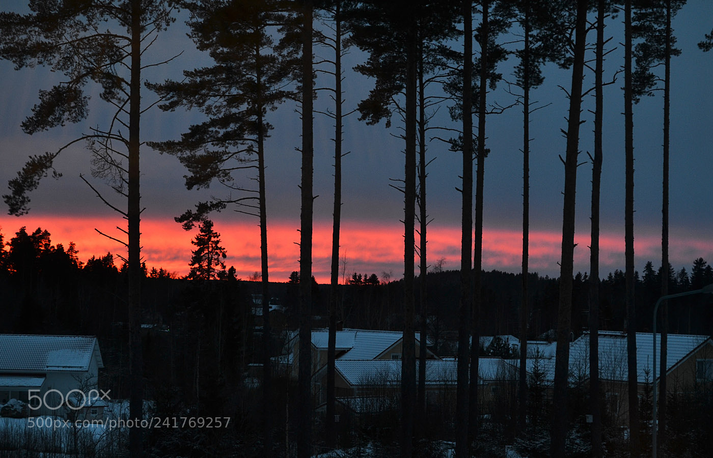 Nikon D3100 sample photo. Skyred photography