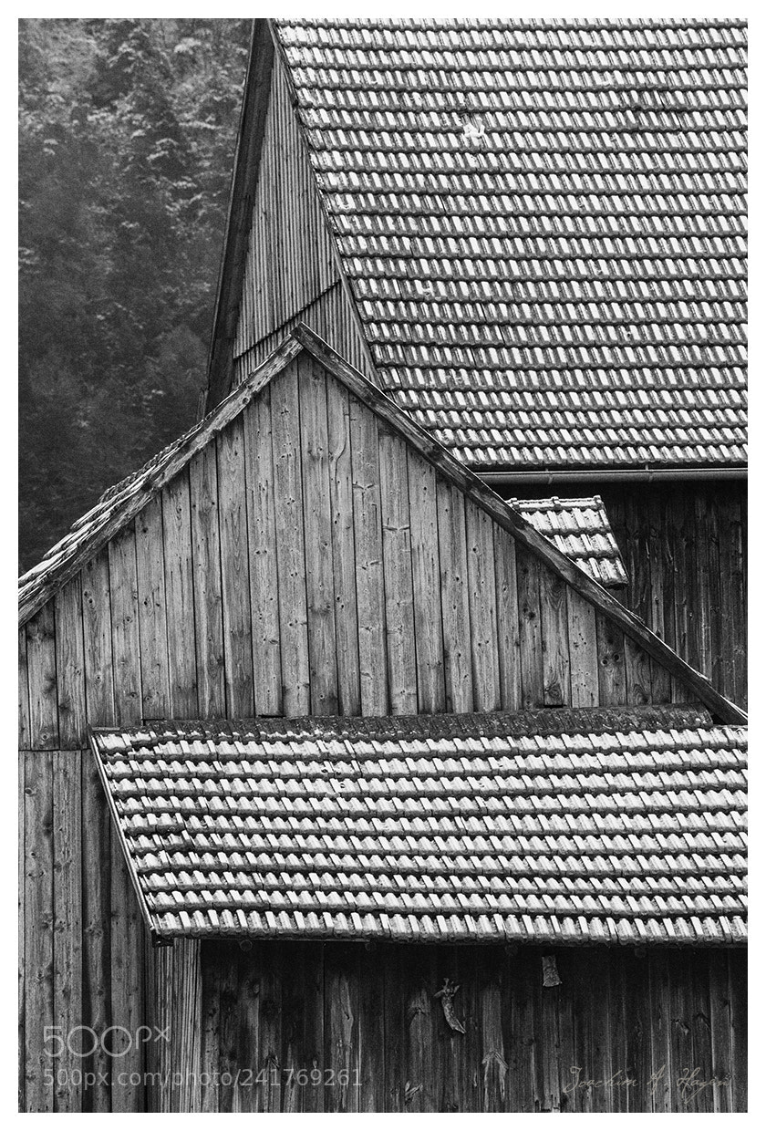 Nikon D90 sample photo. Plosenberg photography