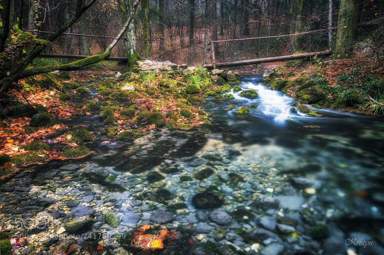 Nikon D7200 sample photo. Silence photography