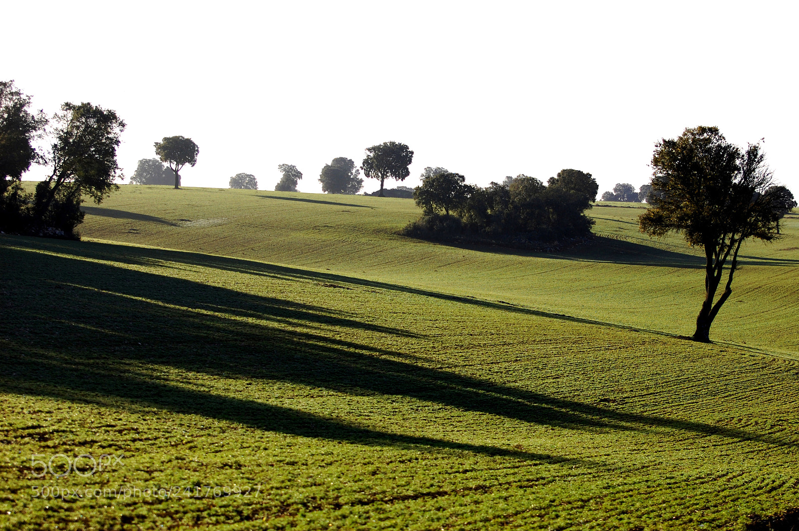 Nikon D40 sample photo. Shadows photography