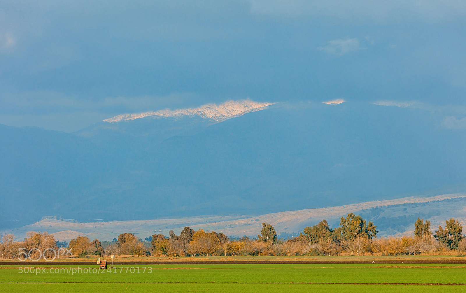 Canon EOS 5DS sample photo. Near the lakes hula photography