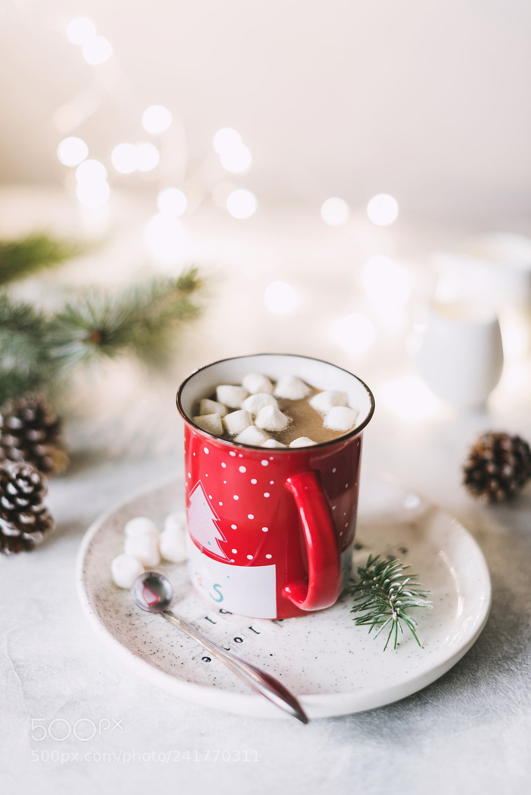 Nikon D810 sample photo. Hot cocoa with marshmallows photography