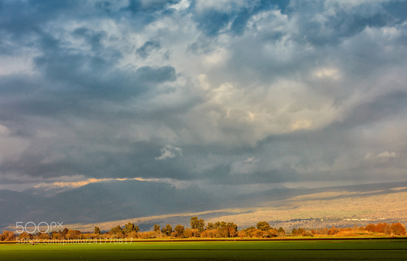 Canon EOS 5DS sample photo. Nature near the lakes photography
