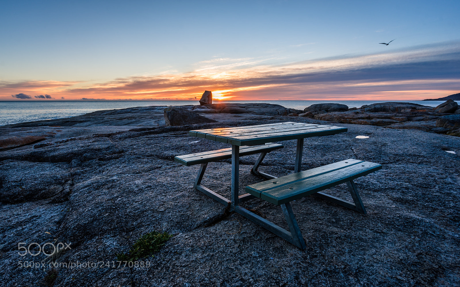 Sony a7 II sample photo. Morning at bicheno blowhole photography