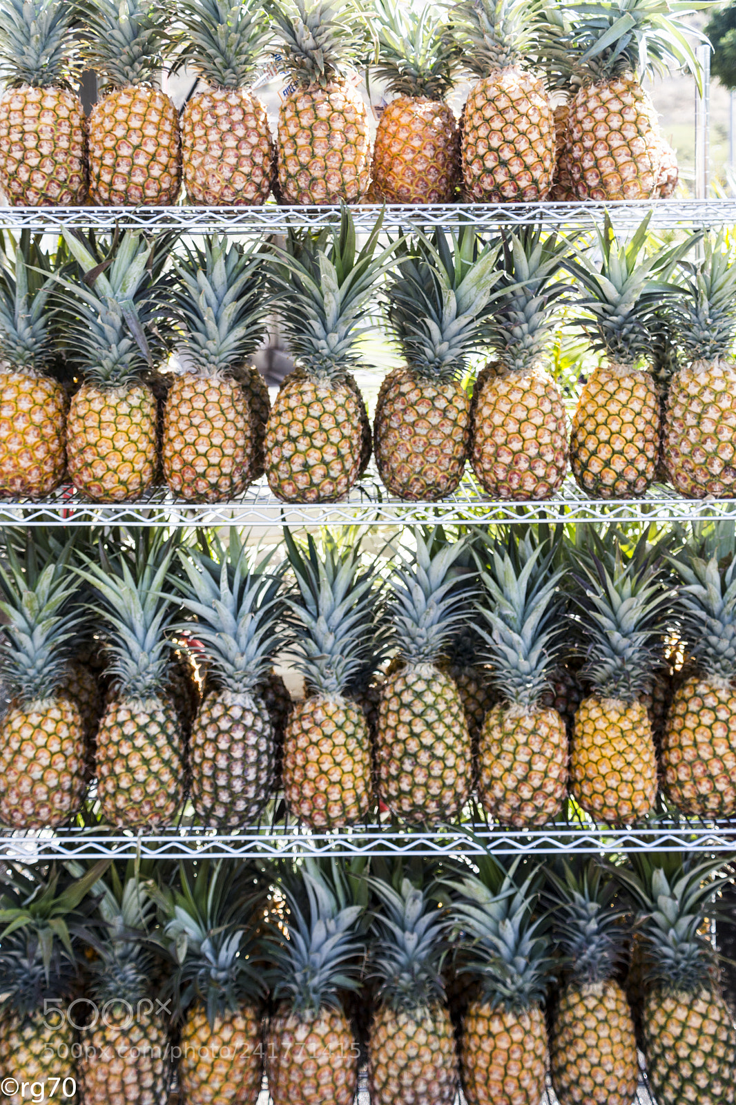 Nikon D7100 sample photo. Pinapples in multiple raws photography