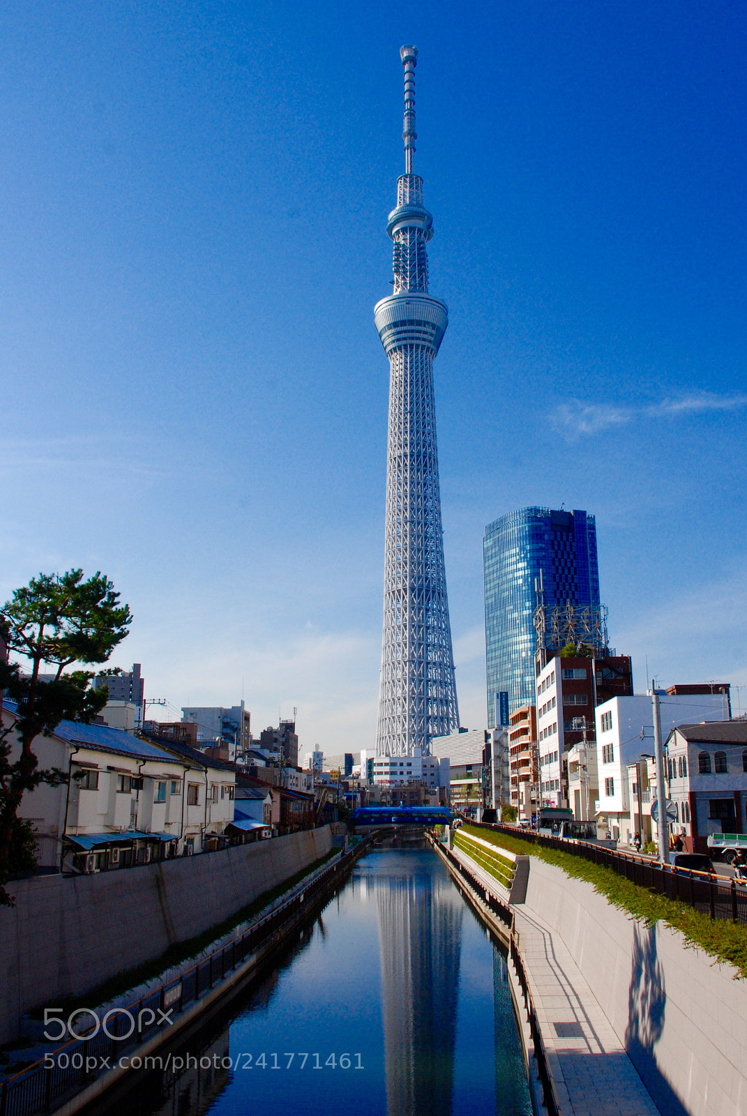 Nikon D80 sample photo. Japan/tokyo 日本/東京 (180108)* photography