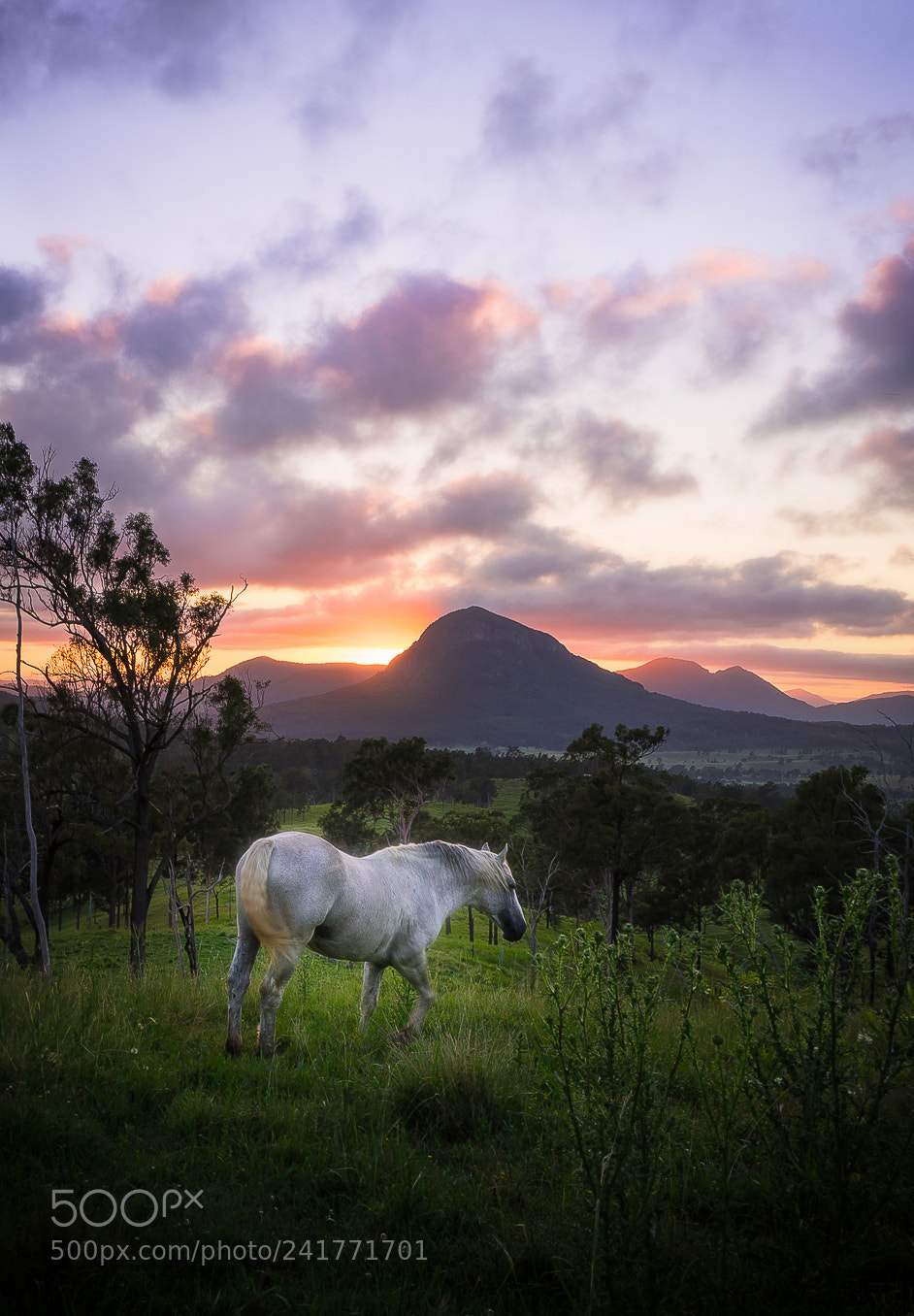Sony a7 II sample photo. Beautiful morning photography