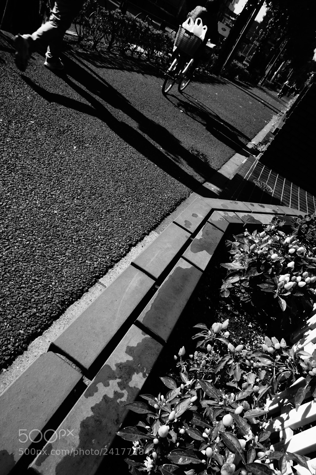 Sony Alpha NEX-5T sample photo. Streets photography