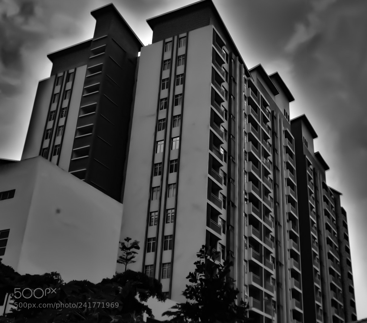 Nikon D7200 sample photo. Untitled photography