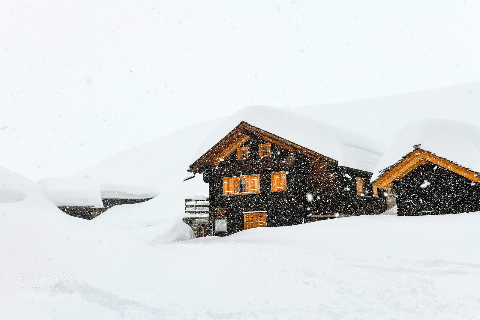 Nikon D850 sample photo. Blizzard photography