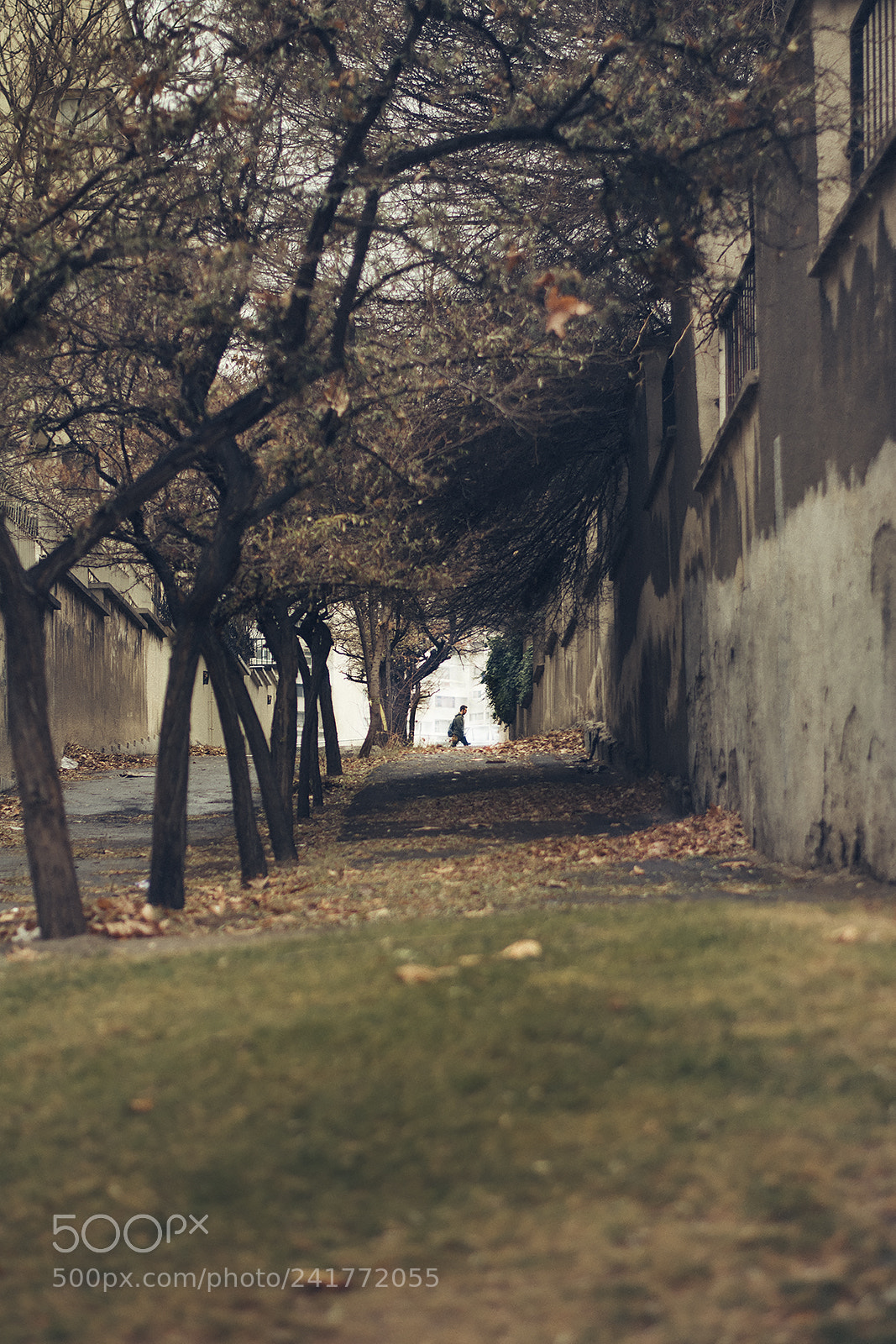 Nikon D7100 sample photo. Far away photography