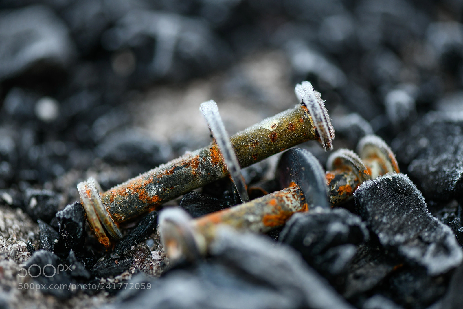 Nikon D850 sample photo. Fire and ice photography