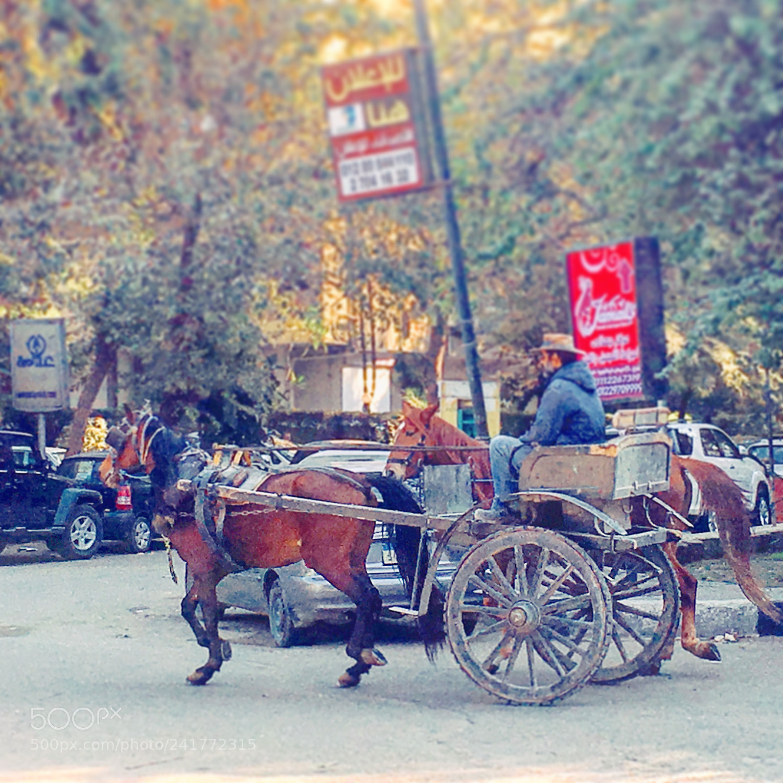 Apple iPhone 6s Plus sample photo. Untitled photography