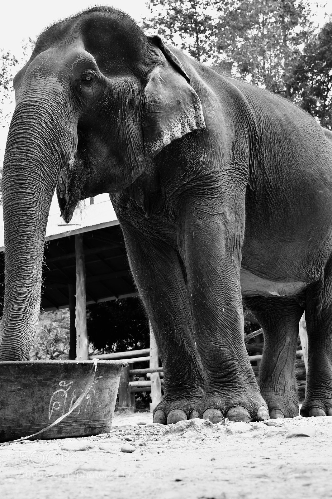 Nikon D500 sample photo. Untitled photography