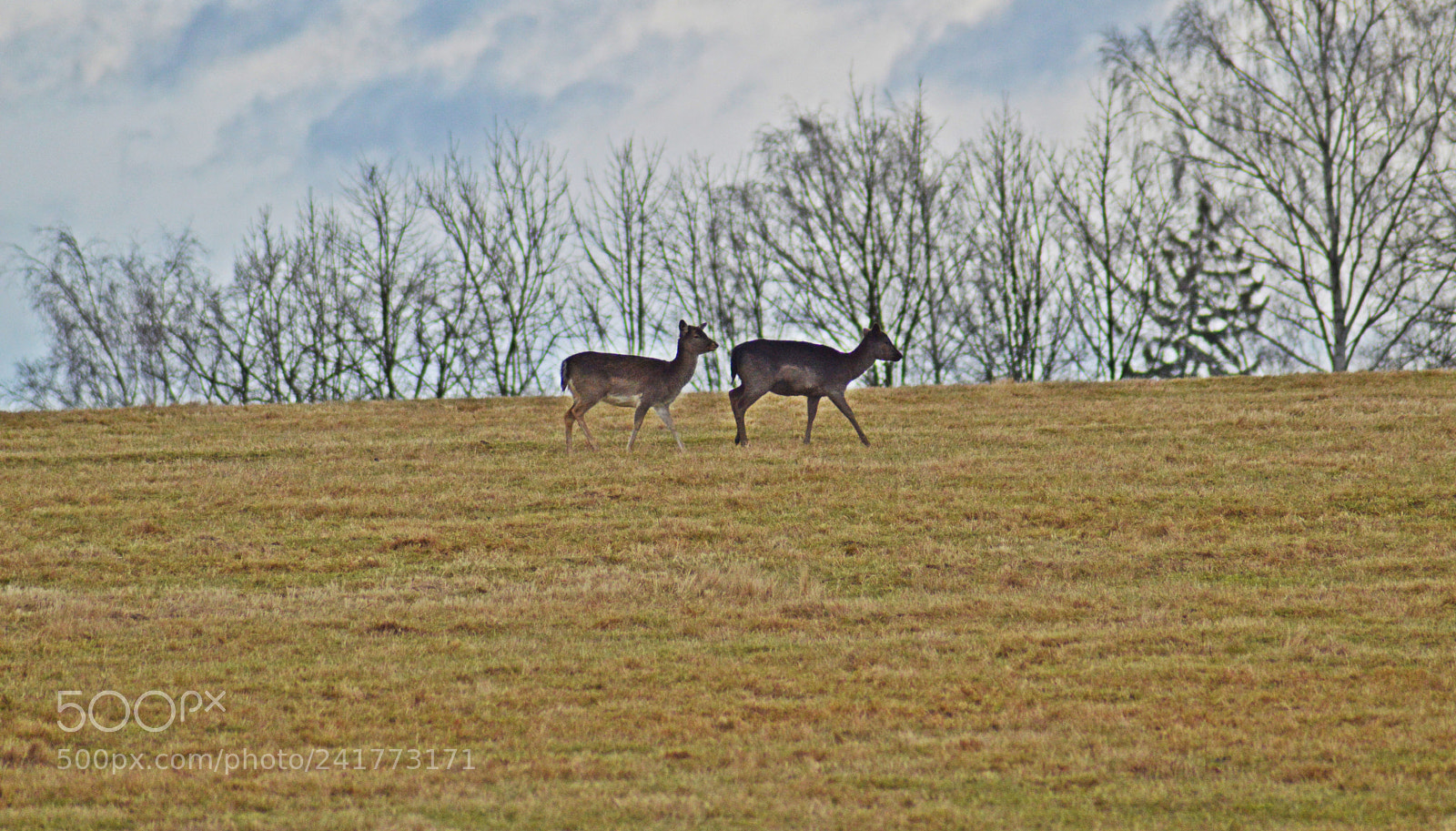 Nikon D3200 sample photo. Untitled photography